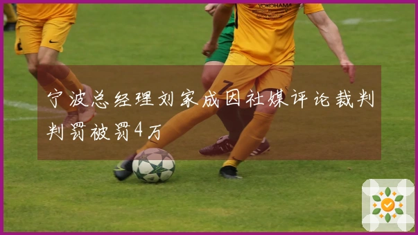 宁波总经理刘家成因社媒评论裁判判罚被罚4万