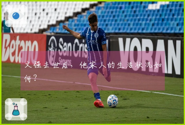 文强去世后，他家人的生活状况如何？